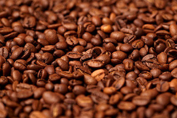 high quality fresh roasted coffee beans close