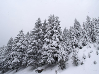 Fototapeta premium es schneit