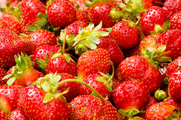 Lots of strawberries arranged as the background