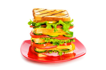 Giant sandwich isolated on the white background