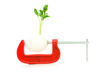 Strength concept with egg and clamp on white