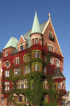 Speicherstadt Hamburg, mit Wildem Wein (Parth. tricuspidata)