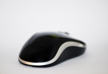 muszka © Kalinowski Łukasz