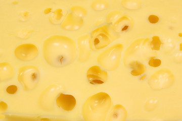 Cheese background