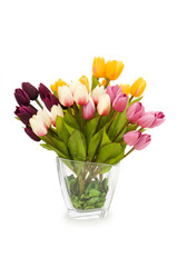 Colourful tulips isolated on the white background