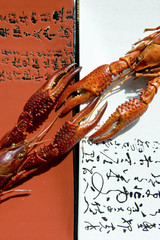 Crayfish on colorful plates