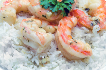 Shrimp on Rice