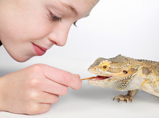 boy feeding lizard