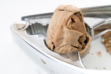 Partially Cracked Walnut