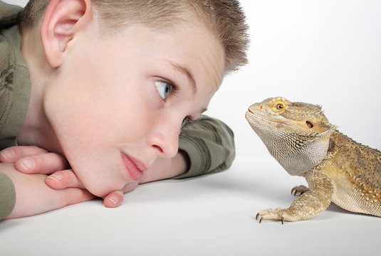 Boy With Reptile