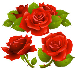 Red roses set