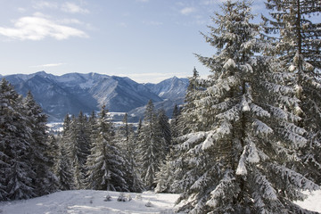 blick zu den miesbacher alpen