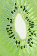 close up of kiwi slice