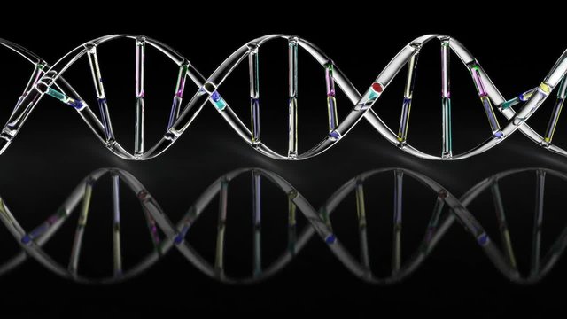 DNA - loop