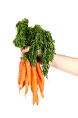 organic carrots