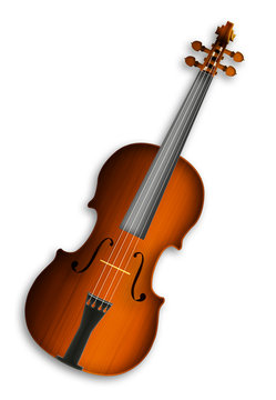 violin on white