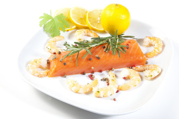 SCAMPI MIT SELACHS