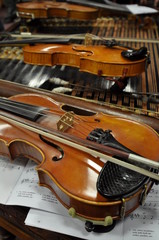 Fototapeta premium violines