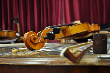 Fototapeta premium violines
