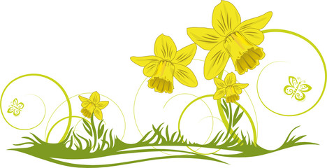 Bildergebnis für osterglocken clipart