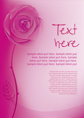 Valentine Rose background with text new layer