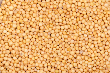 Mustard Seeds background