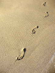 Fototapeta na wymiar Sand Footprints