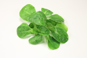 Feldsalat