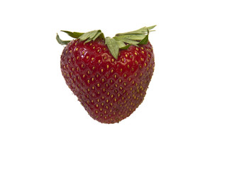 Erdbeere freigestellt #5