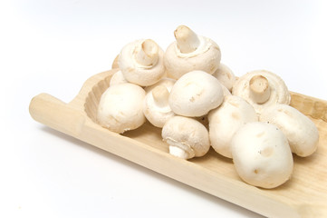 Champignons