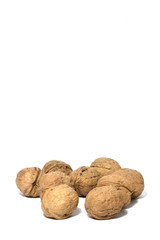 Noci con spazio bianco