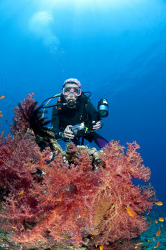 Plongeuse et photo sous marine, Mer Rouge, Egypte