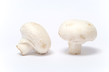 Champignons