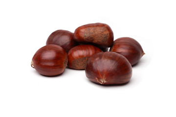 chestnut2