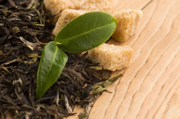 green tea with fresh branch