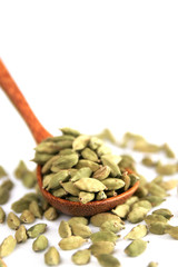 Cardamom