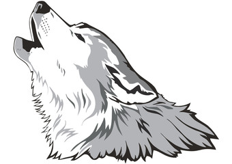 Wolf head vector