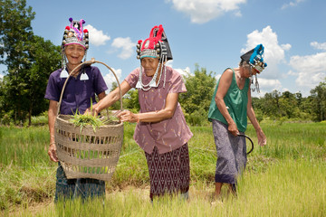 asiatische Frauen Akha