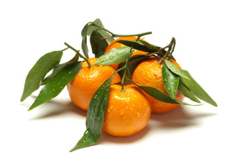 gruppo di clementine