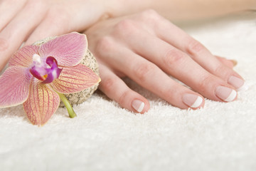 Beautiful hands with perfect nail french manicure