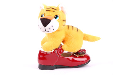 a little fluffy tiger