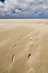Amrum_3