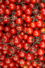 Tomatoes
