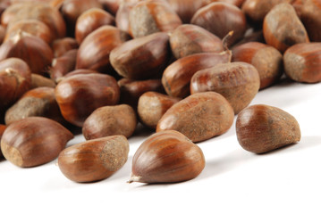 chestnut
