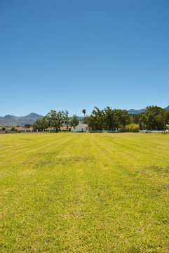 Grass field with trees and housing
