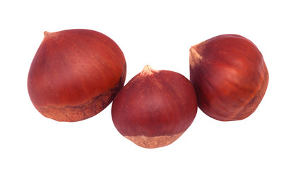Obraz premium Hazelnuts