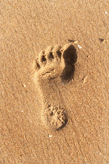 Singel footprint in the sand on a beach