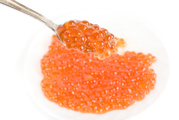 red caviar
