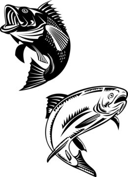 Siluetas 0253
