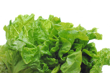 green salad